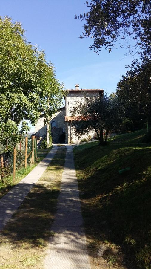 Fattoria Didattica Il Macereto Farm stay *